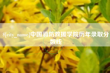 大同中国消防救援学院历年录取分数线