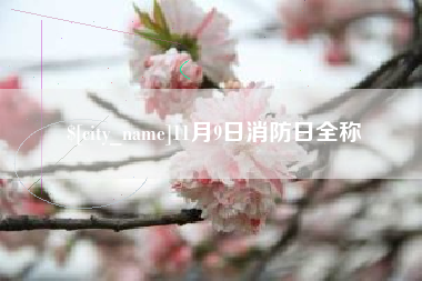 大同11月9日消防日全称