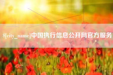 大同中国执行信息公开网官方服务