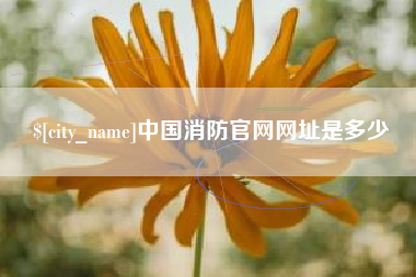 大同中国消防官网网址是多少