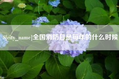 大同全国消防日是每年的什么时候