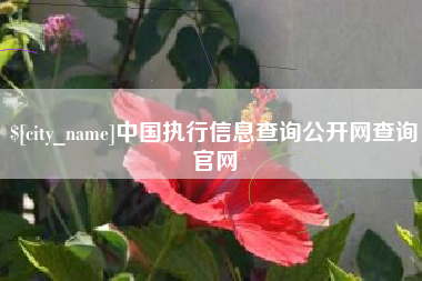 大同中国执行信息查询公开网查询官网
