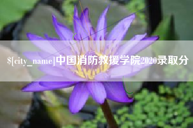 大同中国消防救援学院2020录取分