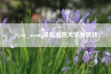 大同河南消防大学分数线