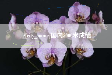 大同国内5000米成绩