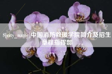大同中国消防救援学院简介及招生章程指挥部