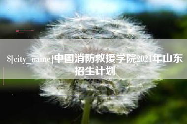 大同中国消防救援学院2021年山东招生计划