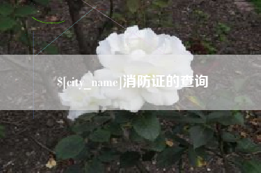 大同消防证的查询