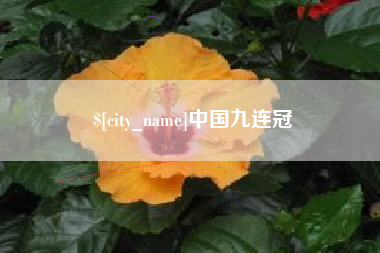 大同中国九连冠