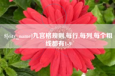 大同九宫格规则,每行,每列,每个粗线都有1-9
