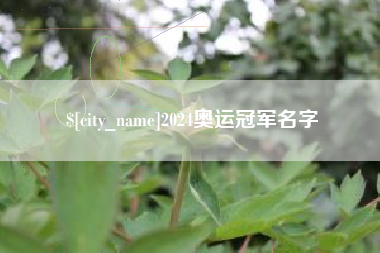 大同2024奥运冠军名字