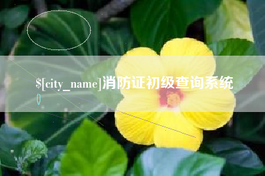 大同消防证初级查询系统