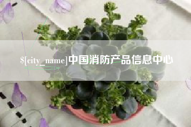 大同中国消防产品信息中心