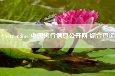 大同中国执行信息公开网 综合查询