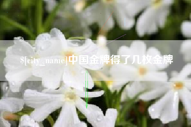 大同中国金牌得了几枚金牌