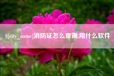大同消防证怎么查询,用什么软件