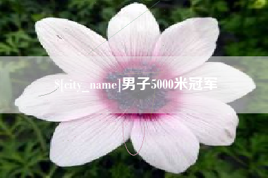大同男子5000米冠军