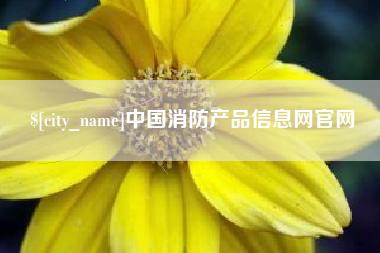 大同中国消防产品信息网官网