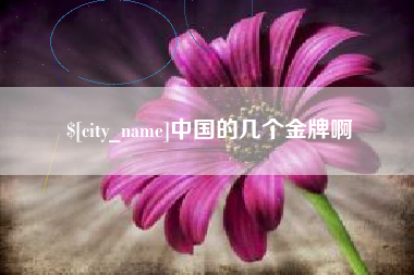 大同中国的几个金牌啊