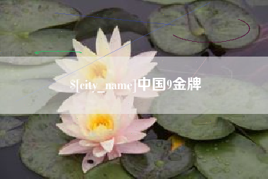 大同中国9金牌