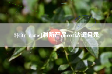 大同消防产品cccf认证目录