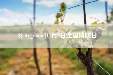 大同11月9日全国消防日