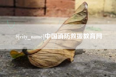 大同中国消防救援教育网