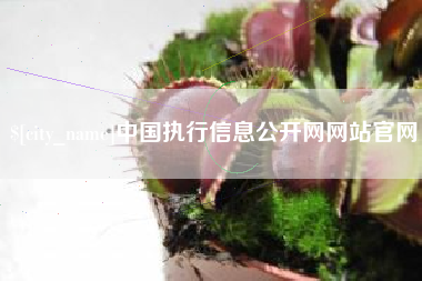 大同中国执行信息公开网网站官网