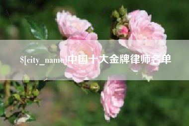 大同中国十大金牌律师名单