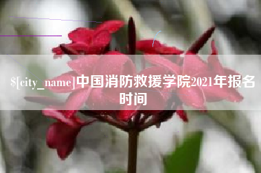 大同中国消防救援学院2021年报名时间
