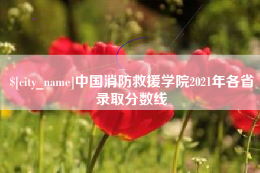 大同中国消防救援学院2021年各省录取分数线