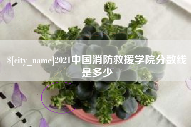 大同2021中国消防救援学院分数线是多少