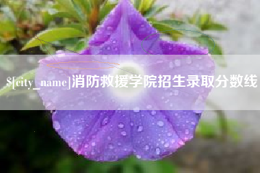 大同消防救援学院招生录取分数线