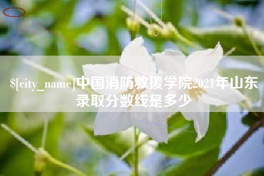大同中国消防救援学院2021年山东录取分数线是多少