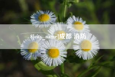 大同成都 消防