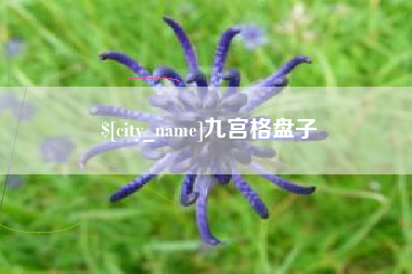 大同九宫格盘子