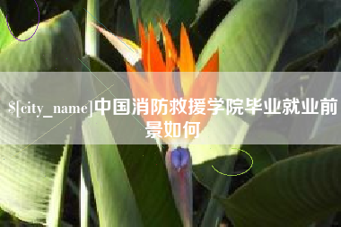 大同中国消防救援学院毕业就业前景如何