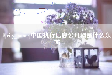 大同中国执行信息公开网是什么东西