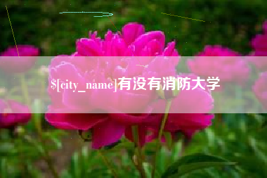 大同有没有消防大学