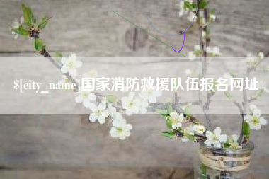 大同国家消防救援队伍报名网址