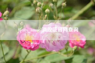 大同消控证官网查询