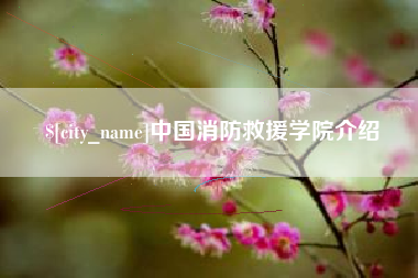 大同中国消防救援学院介绍