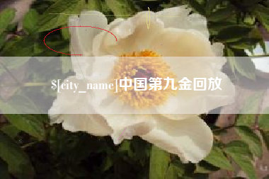 大同中国第九金回放