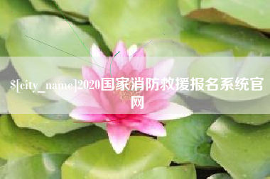 大同2020国家消防救援报名系统官网