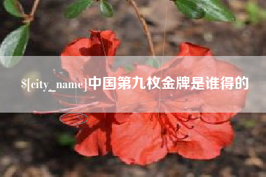 大同中国第九枚金牌是谁得的