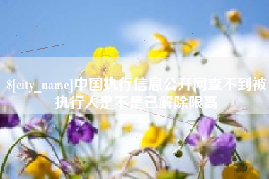 大同中国执行信息公开网查不到被执行人是不是已解除限高