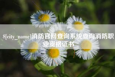 大同消防官网查询系统查询消防职业资格证书