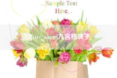 大同九宫格牌子