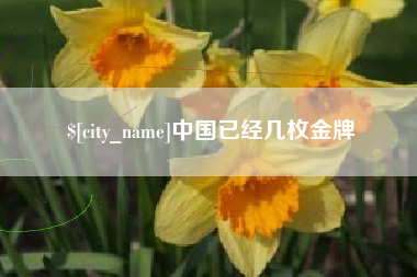 大同中国已经几枚金牌