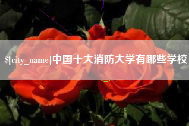 大同中国十大消防大学有哪些学校